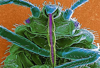 《懊悔谷》实机预告片欣赏 又一个被困在时间循环里的人